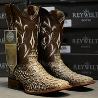 Load image into Gallery viewer, 070 Fuscus Desierto
