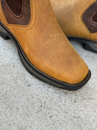 Load image into Gallery viewer, 6002 Muzgo
